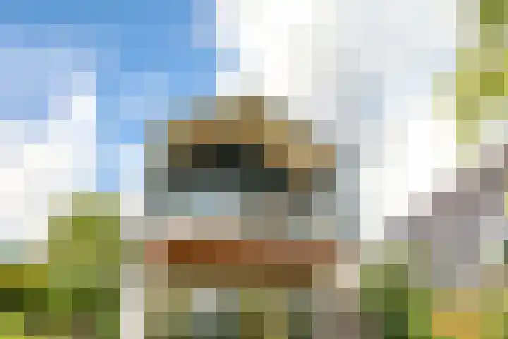Noordereiland 12 Arnhem thumbnail 96