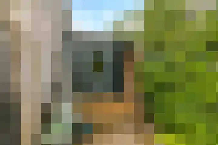 Noordereiland 12 Arnhem thumbnail 97