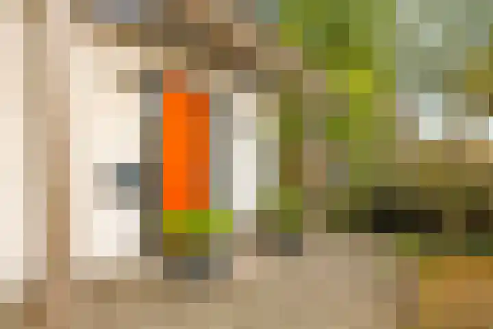 Noordereiland 12 Arnhem thumbnail 99