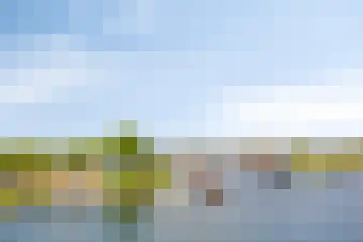 Noordereiland 135 Zeewolde thumbnail 29