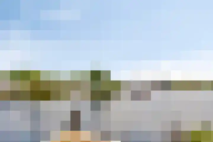 Noordereiland 135 Zeewolde thumbnail 35