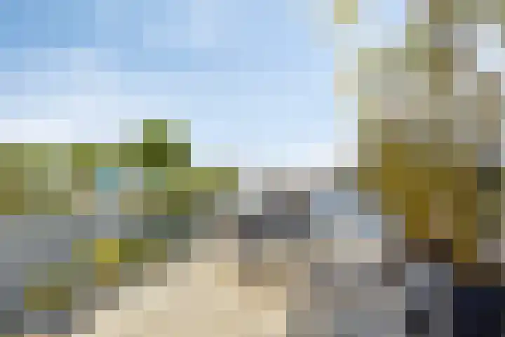 Noordereiland 135 Zeewolde thumbnail 37