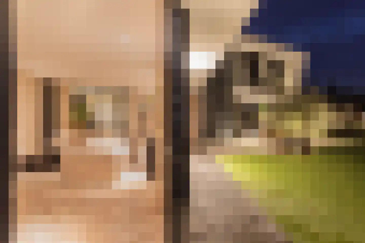 Noordereiland 3 Arnhem thumbnail 13