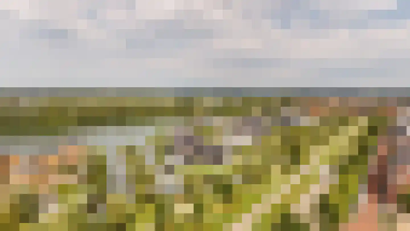 Noordereiland 3 Arnhem thumbnail 30