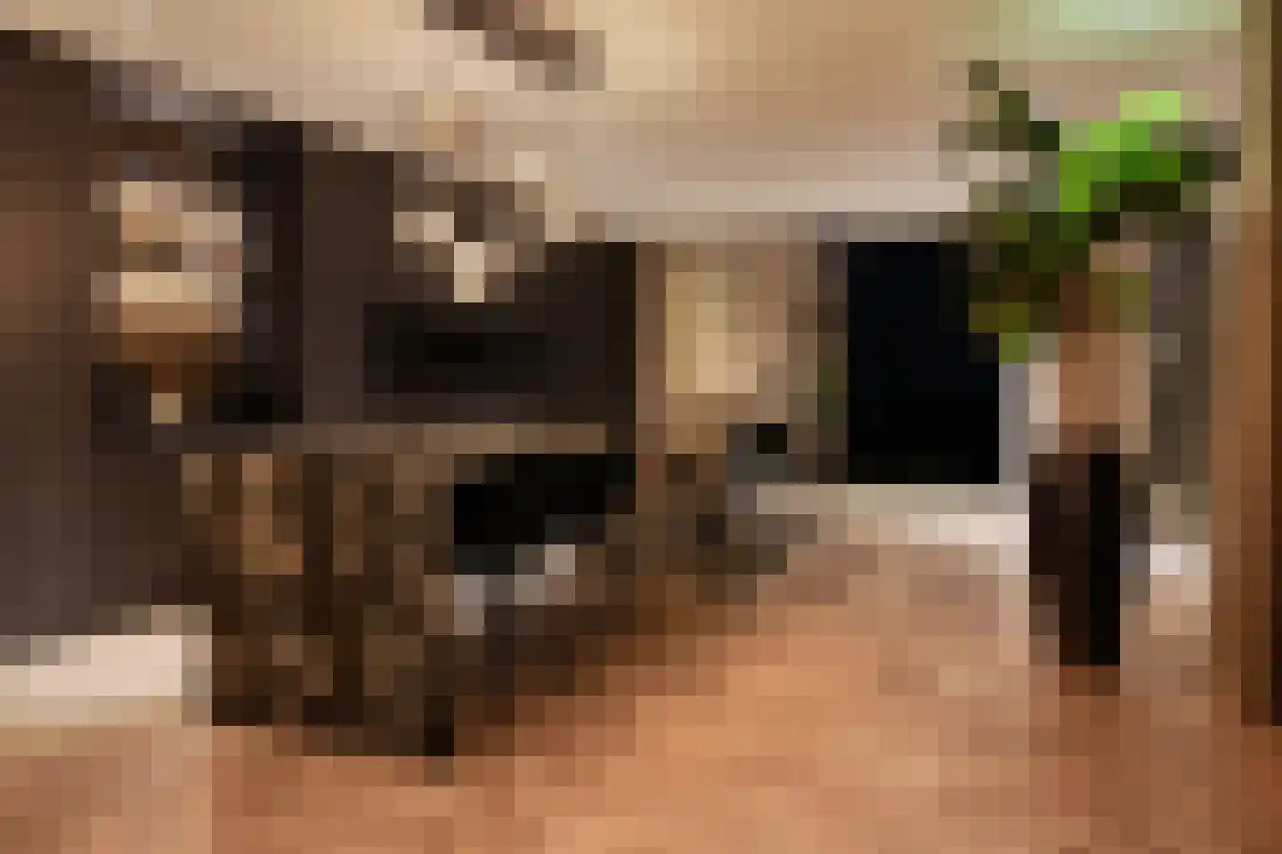 Noordereiland 3 Arnhem thumbnail 4