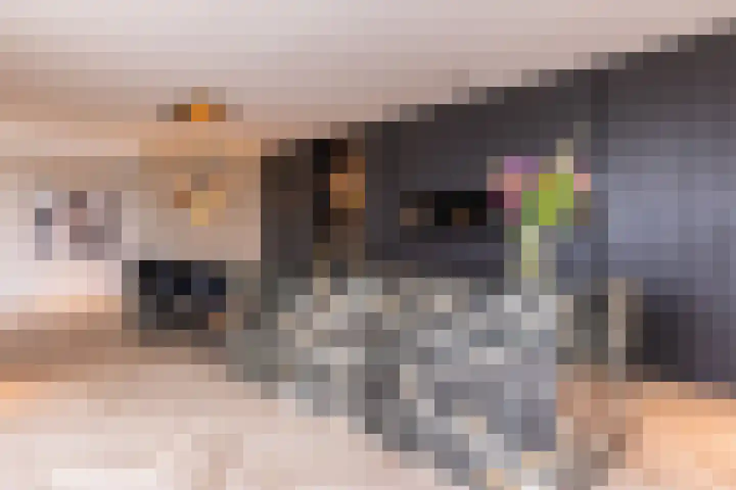 Noordereiland 3 Arnhem thumbnail 5