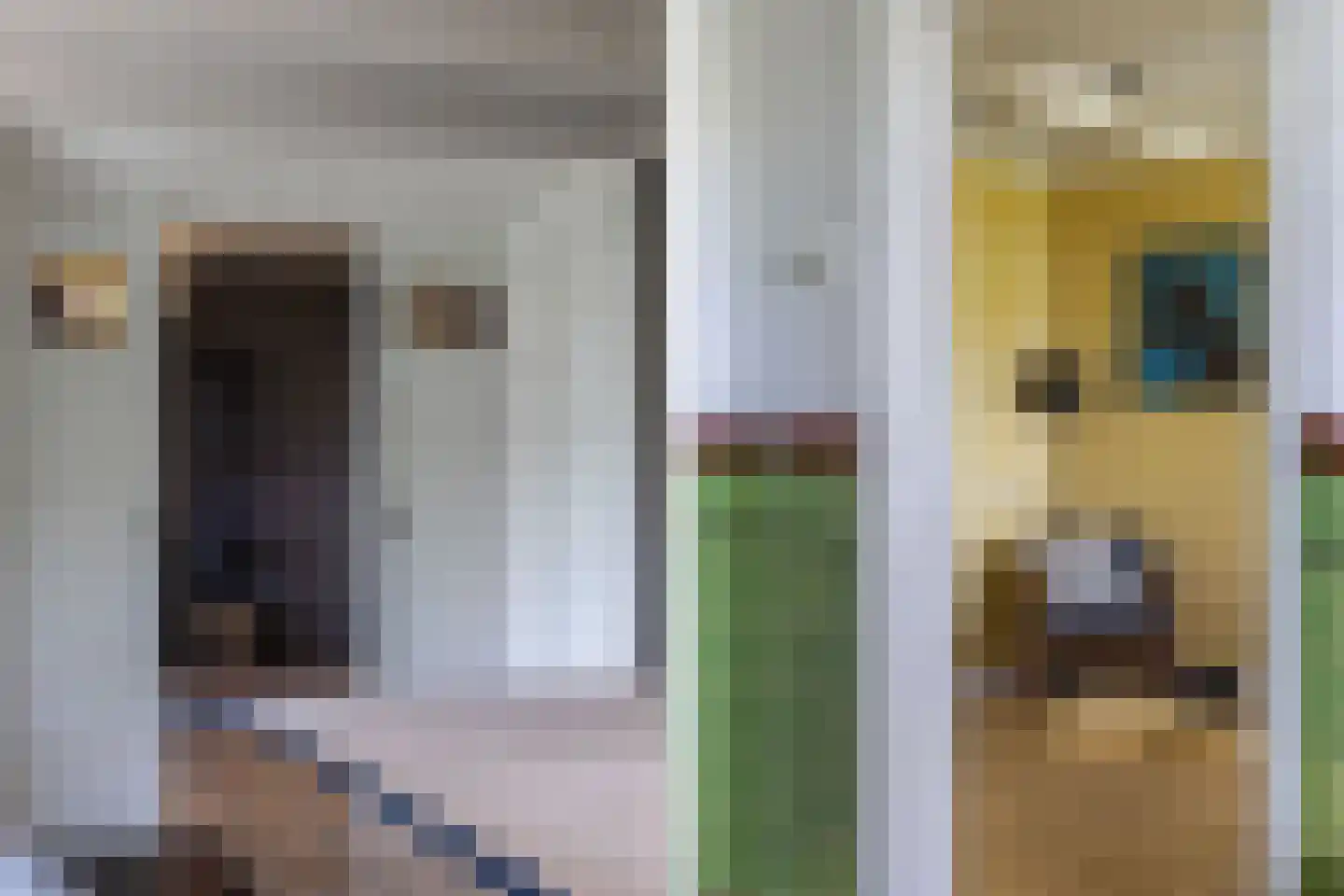 Noordereind 19 Lollum thumbnail 13