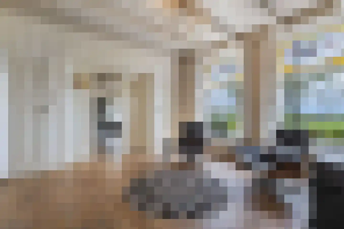 Noordereind 19 Lollum thumbnail 14