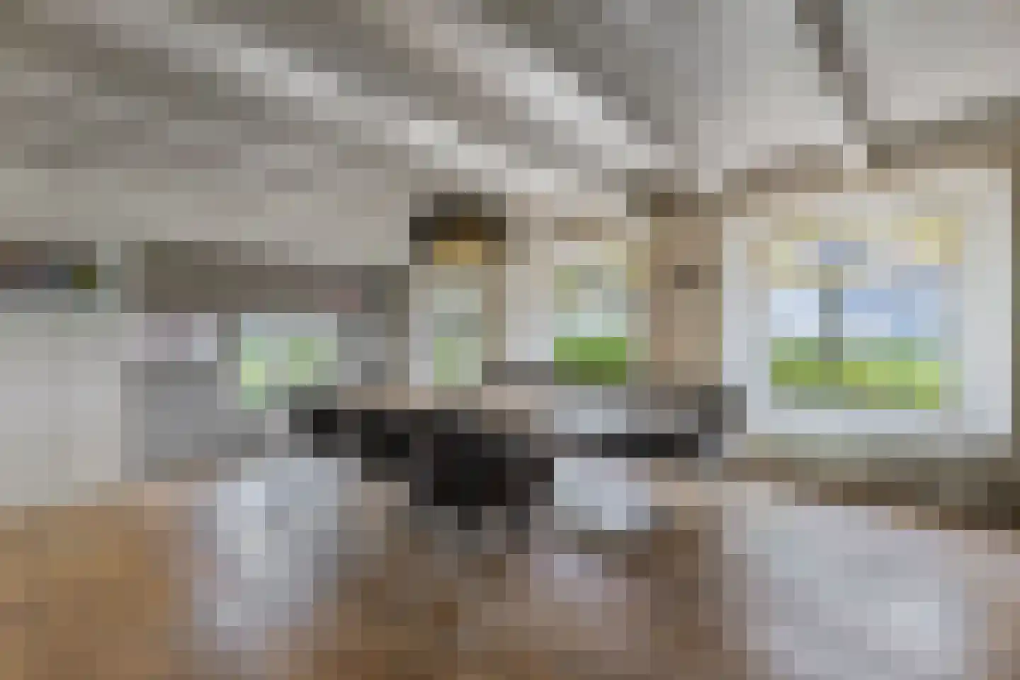 Noordereind 19 Lollum thumbnail 22