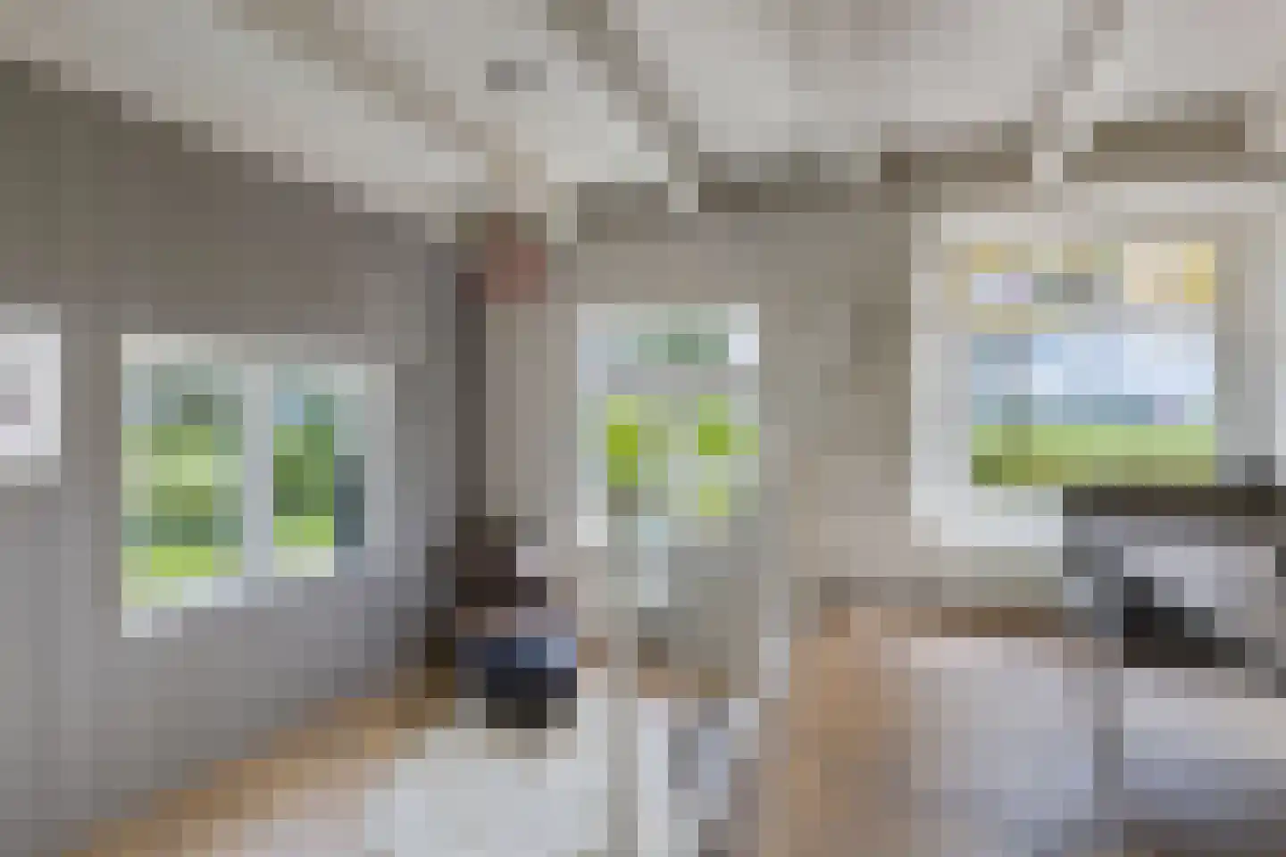 Noordereind 19 Lollum thumbnail 24