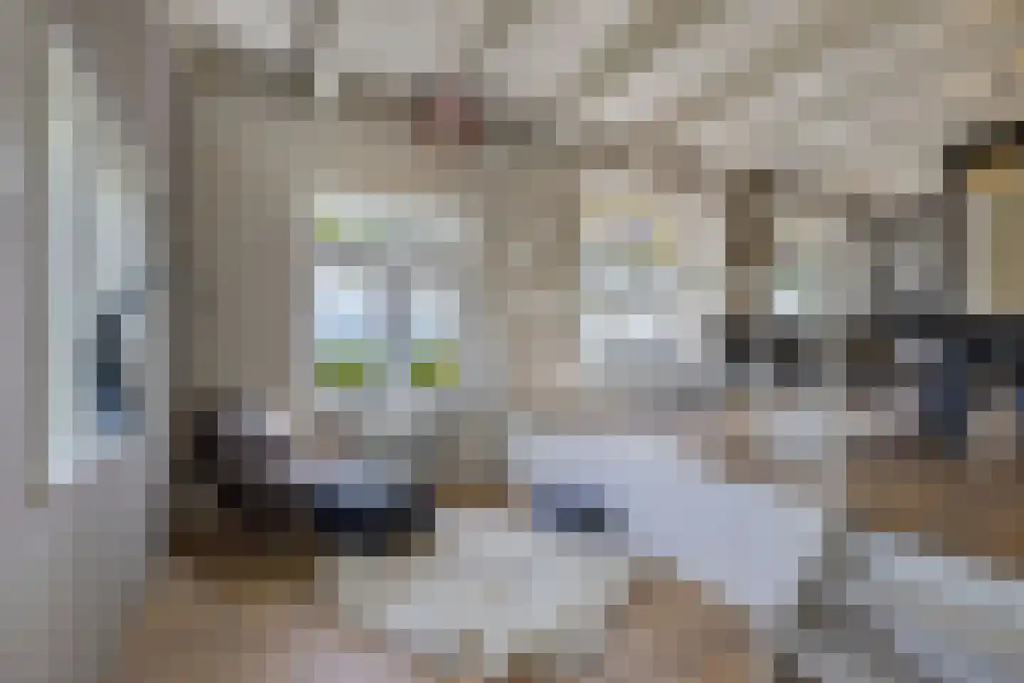 Noordereind 19 Lollum thumbnail 25