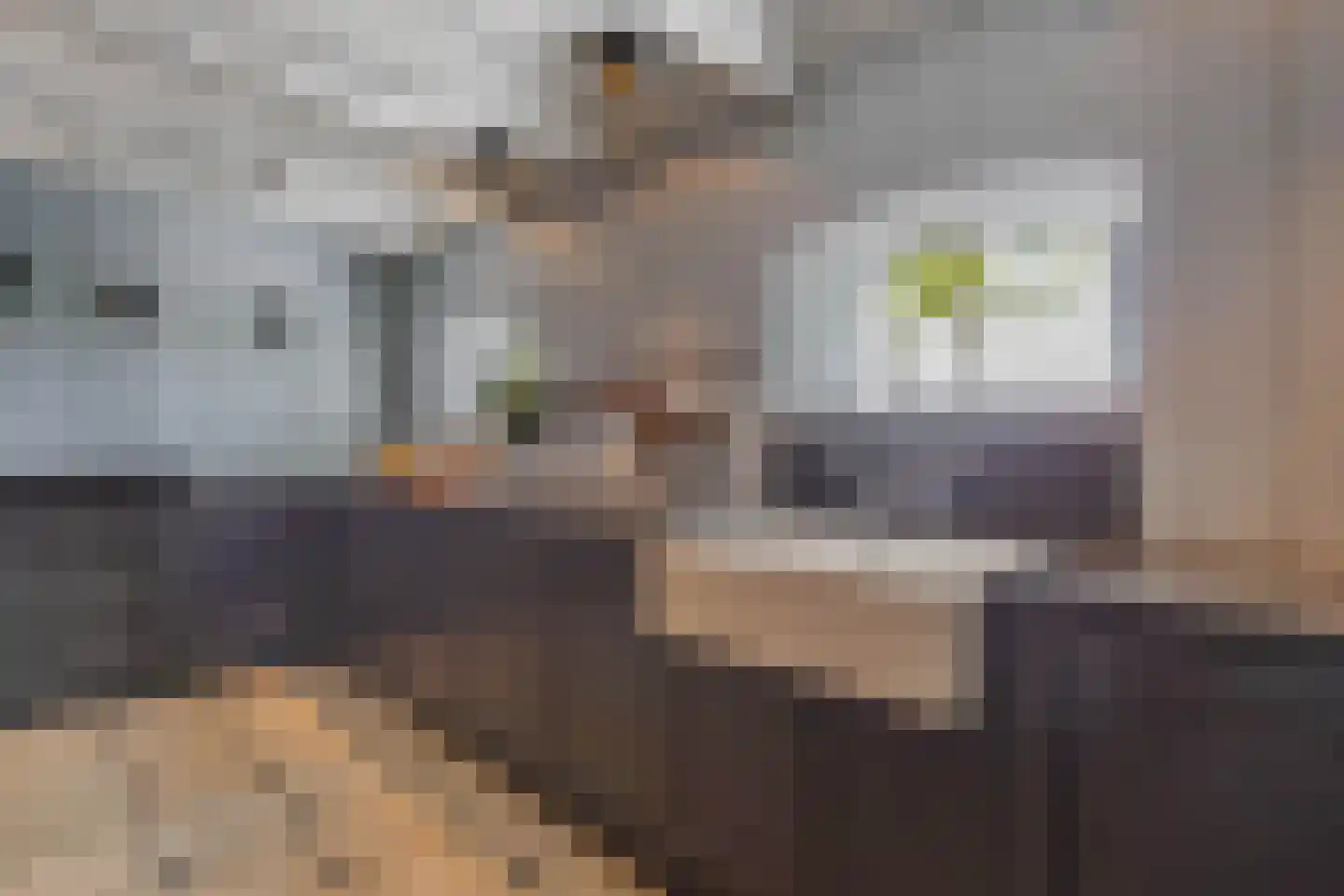 Noordereind 19 Lollum thumbnail 30