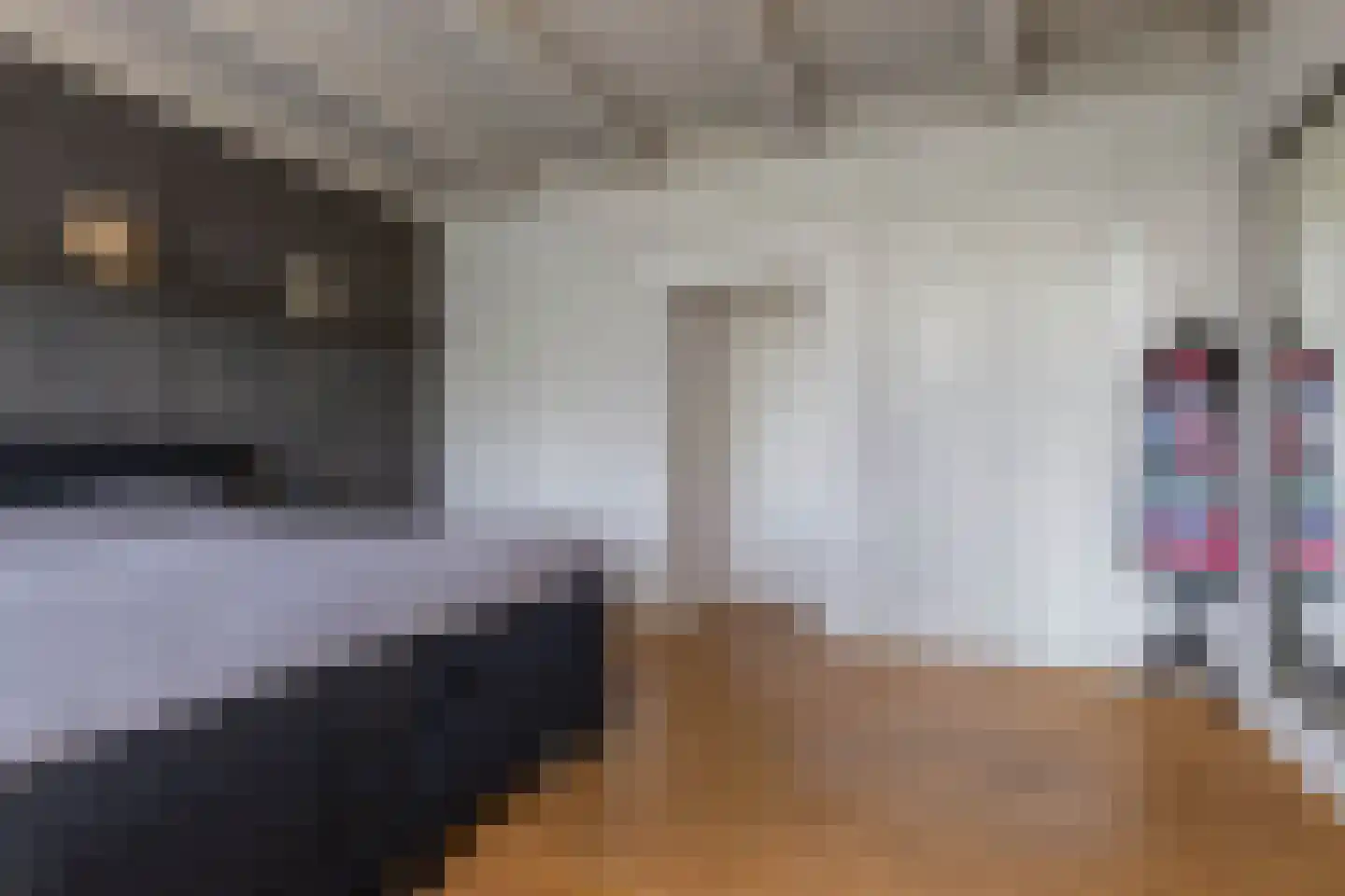 Noordereind 19 Lollum thumbnail 35