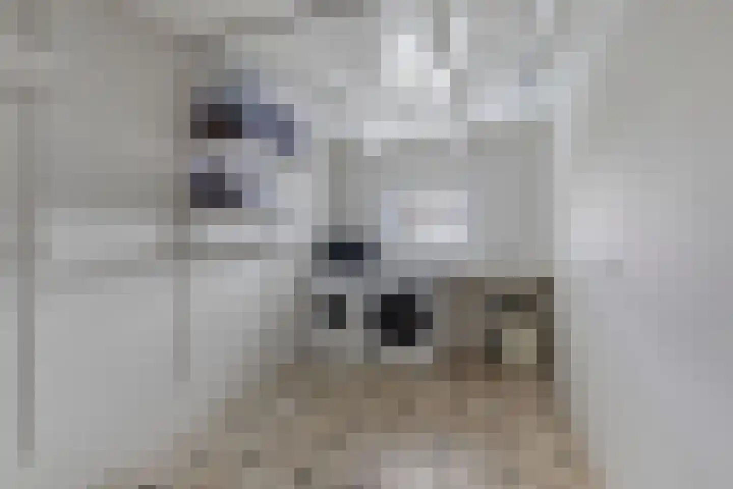 Noordereind 19 Lollum thumbnail 39