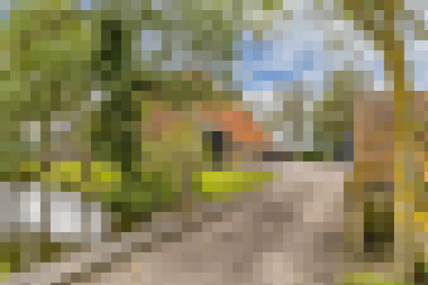 Noordereind 19 Lollum thumbnail 4