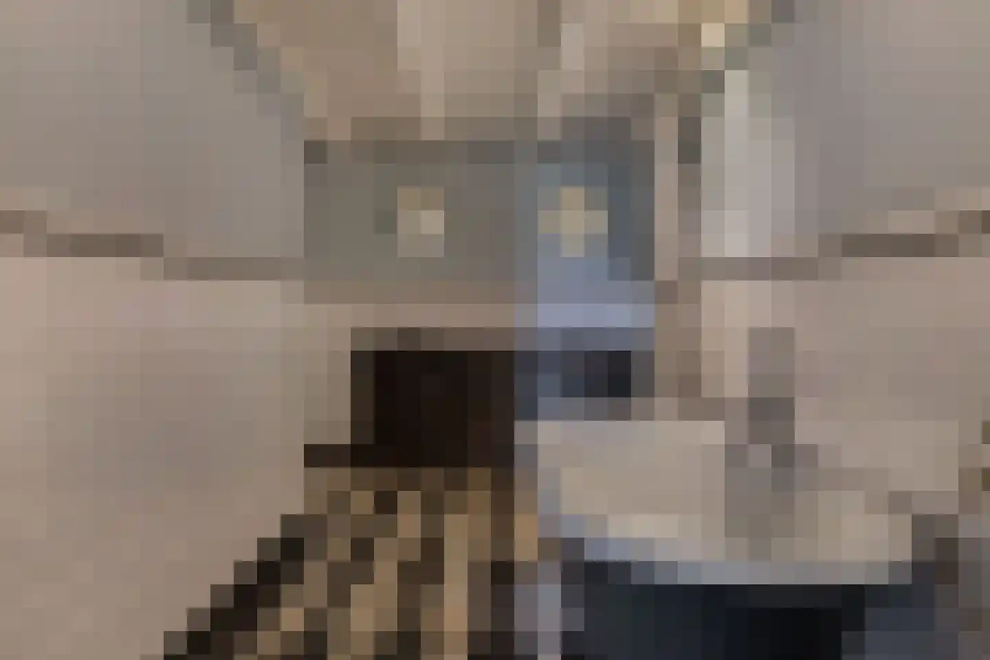 Noordereind 19 Lollum thumbnail 40