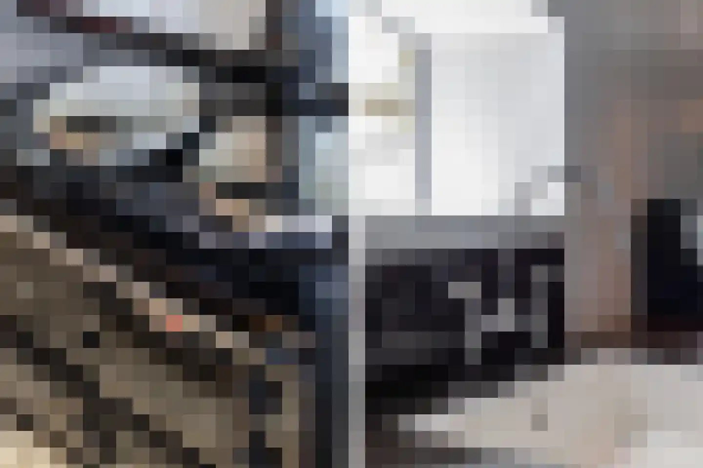Noordereind 19 Lollum thumbnail 44