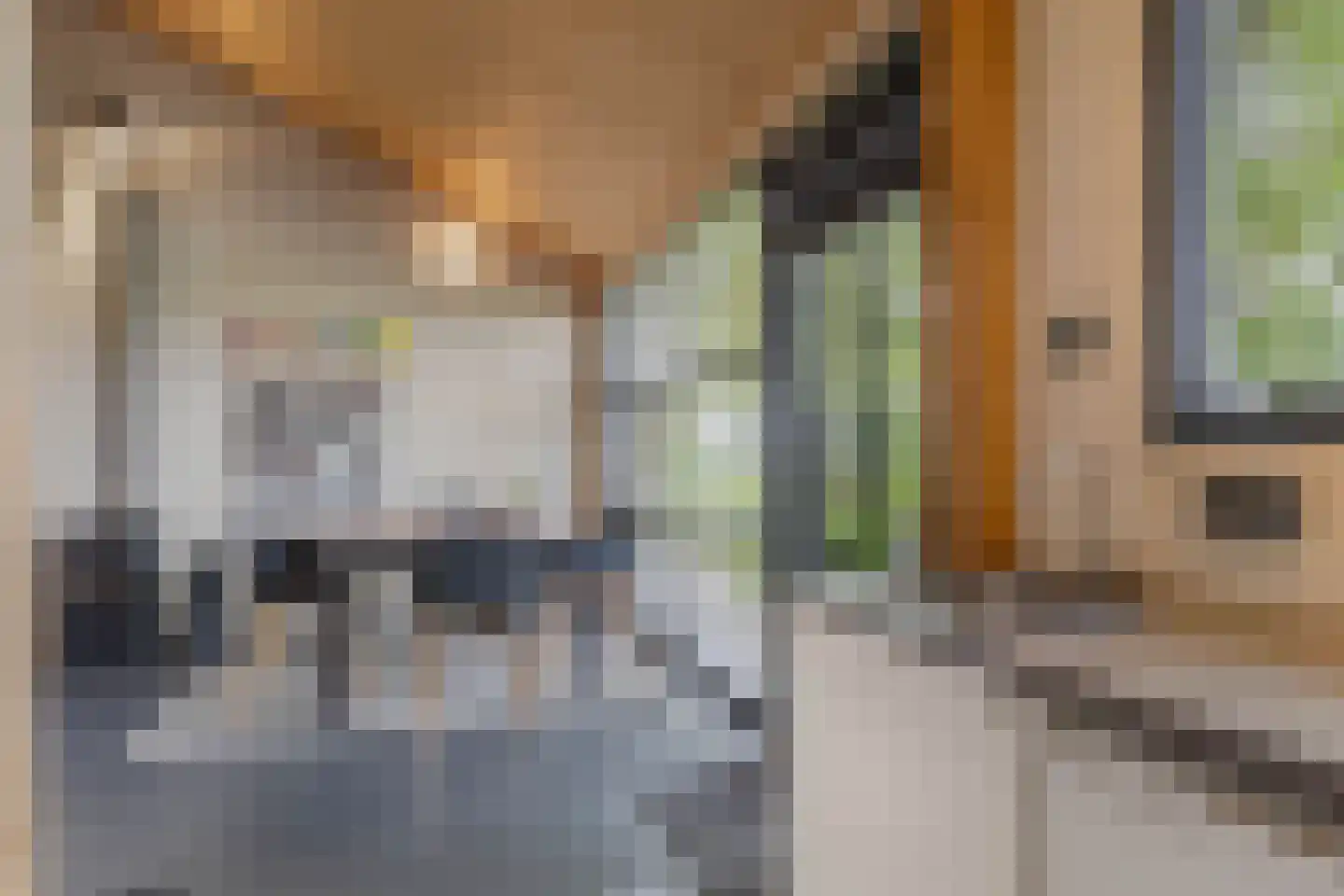 Noordereind 19 Lollum thumbnail 46