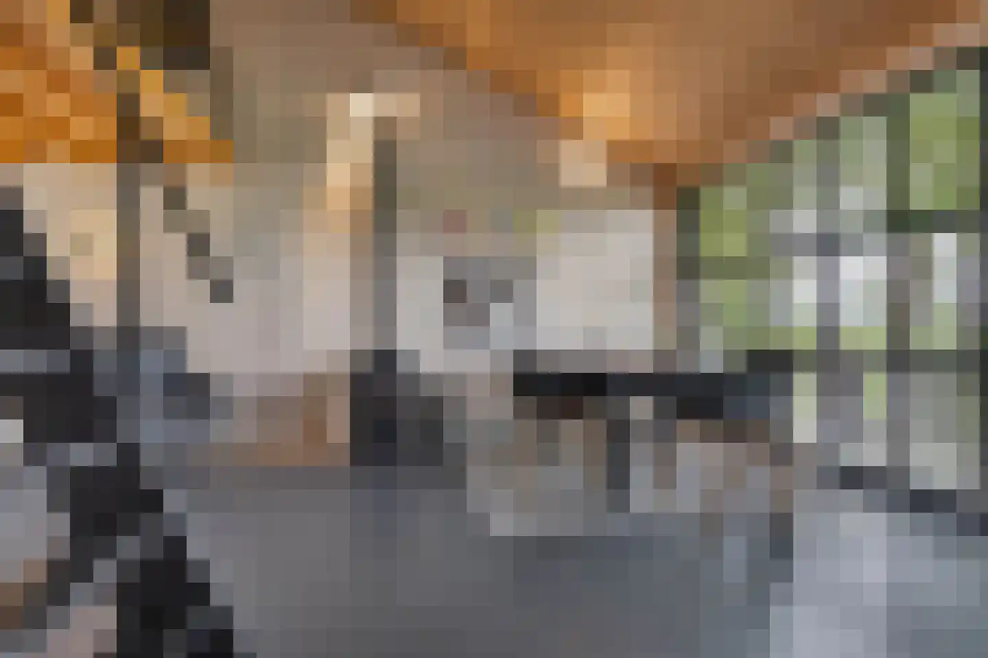 Noordereind 19 Lollum thumbnail 47