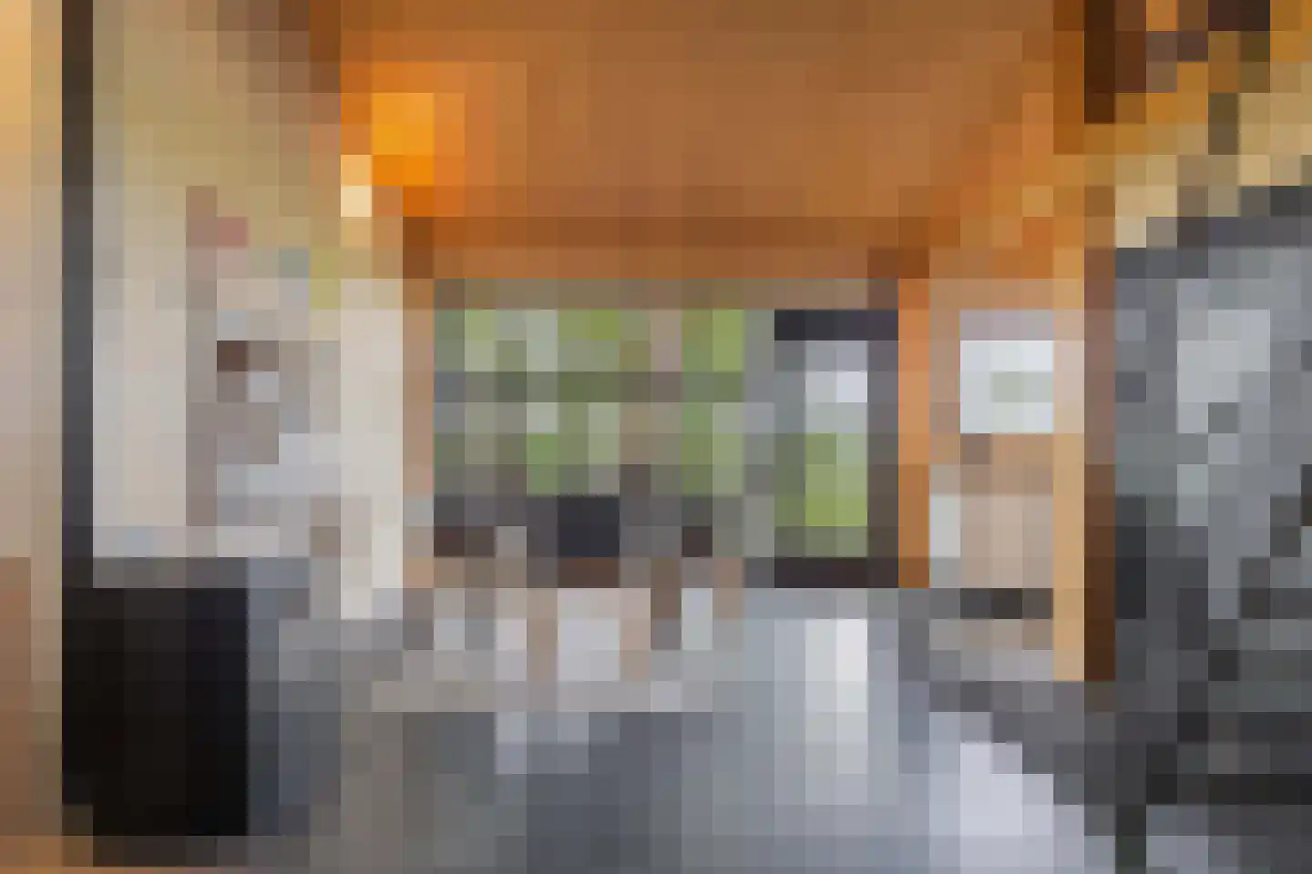 Noordereind 19 Lollum thumbnail 50