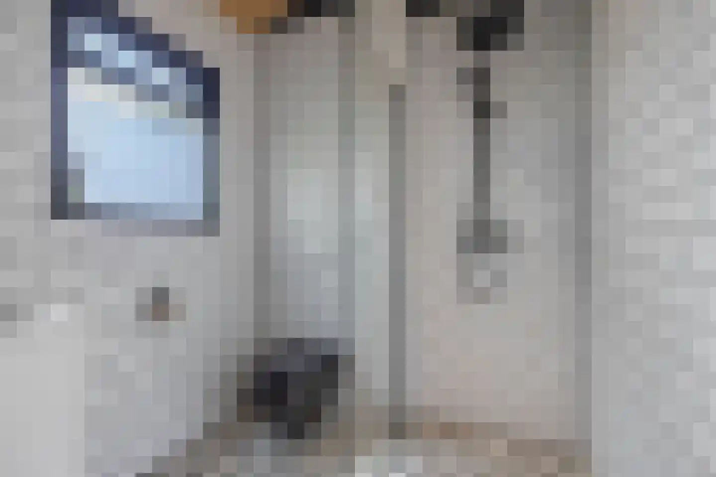 Noordereind 19 Lollum thumbnail 52