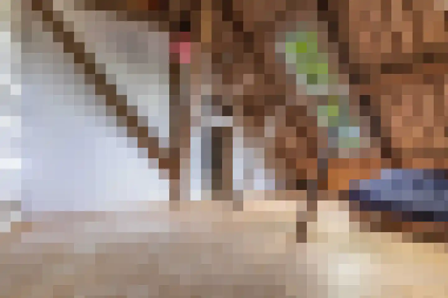 Noordereind 19 Lollum thumbnail 57