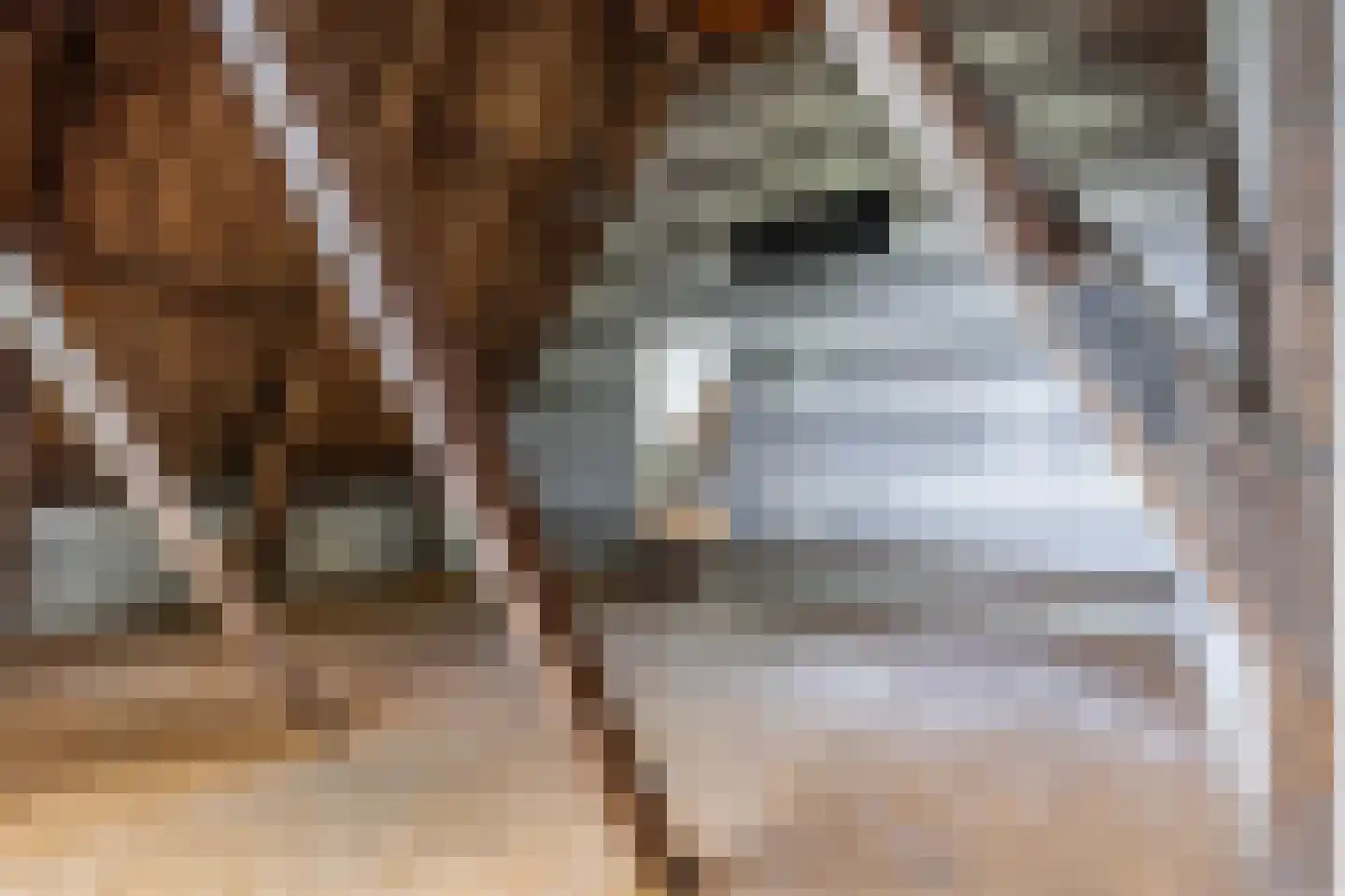 Noordereind 19 Lollum thumbnail 58