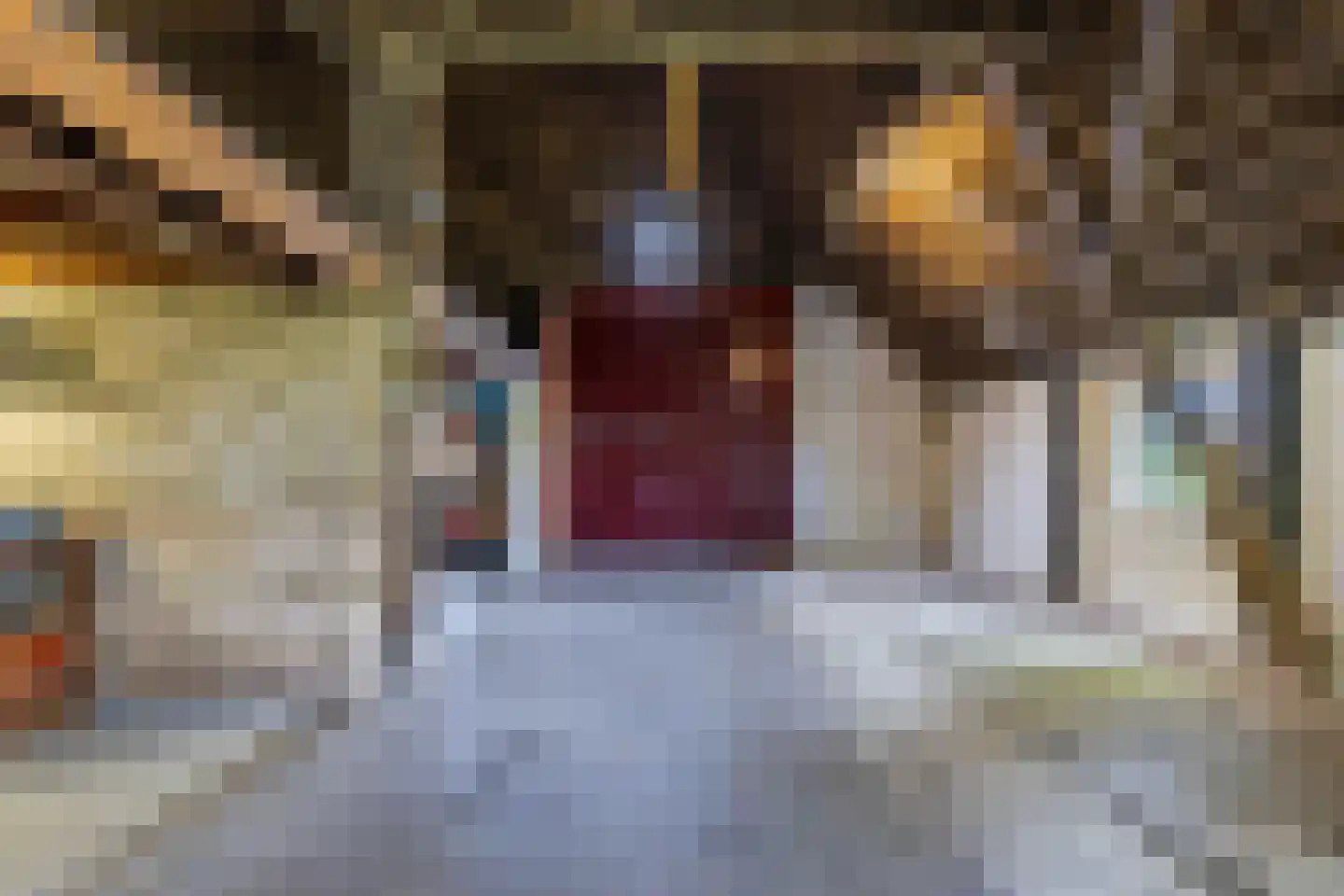 Noordereind 19 Lollum thumbnail 62