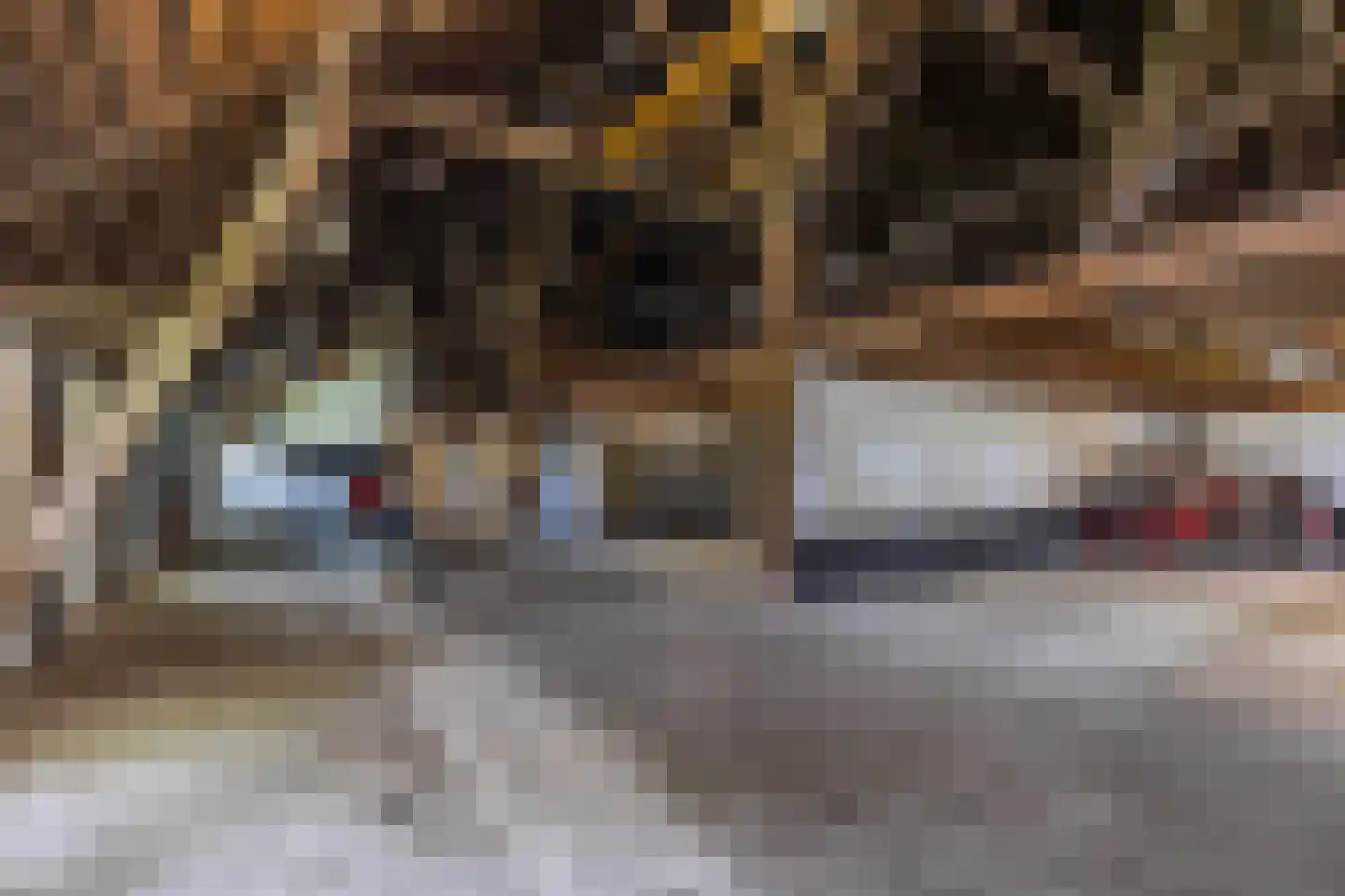 Noordereind 19 Lollum thumbnail 63