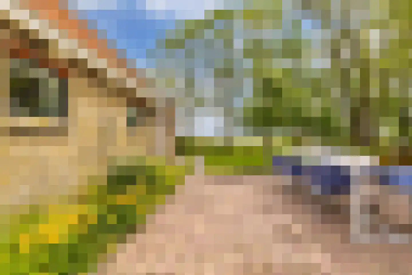 Noordereind 19 Lollum thumbnail 67