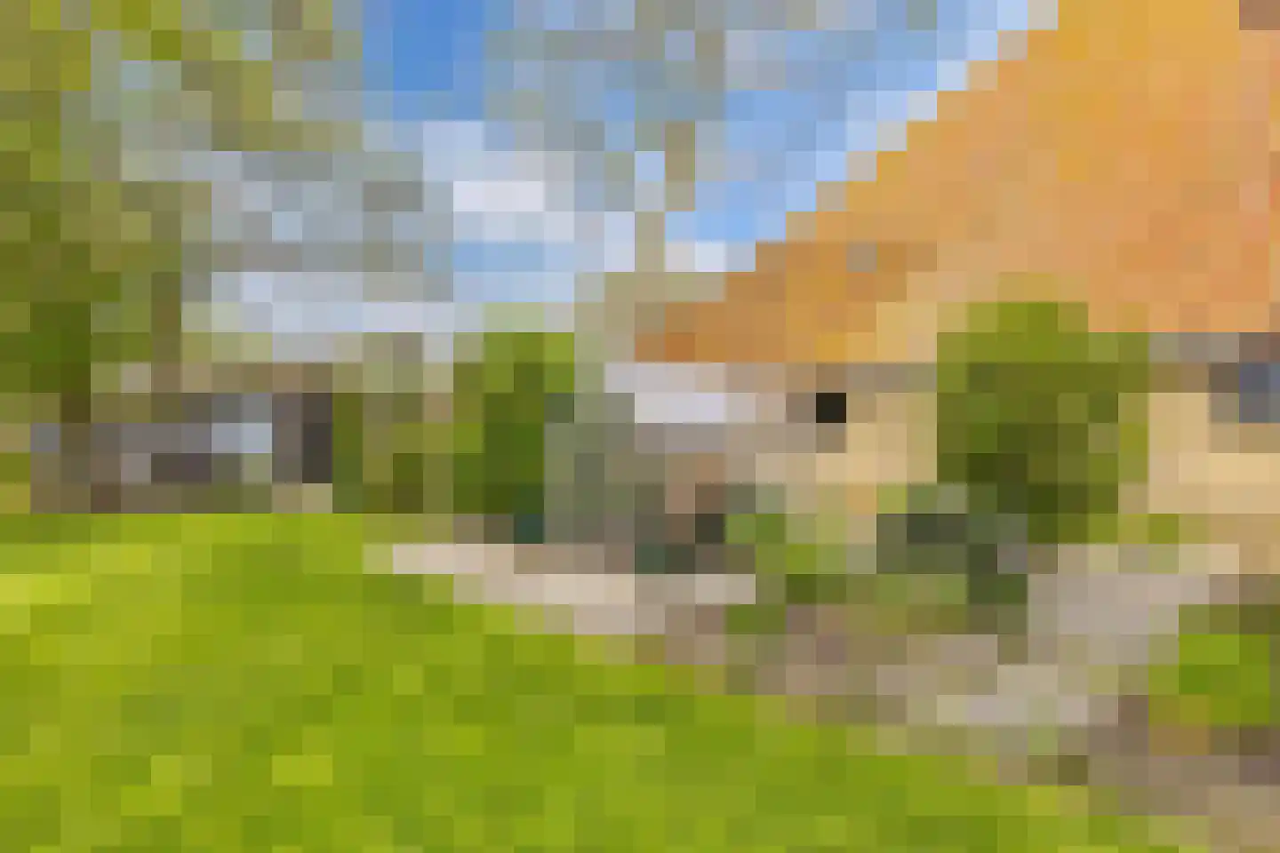 Noordereind 19 Lollum thumbnail 68