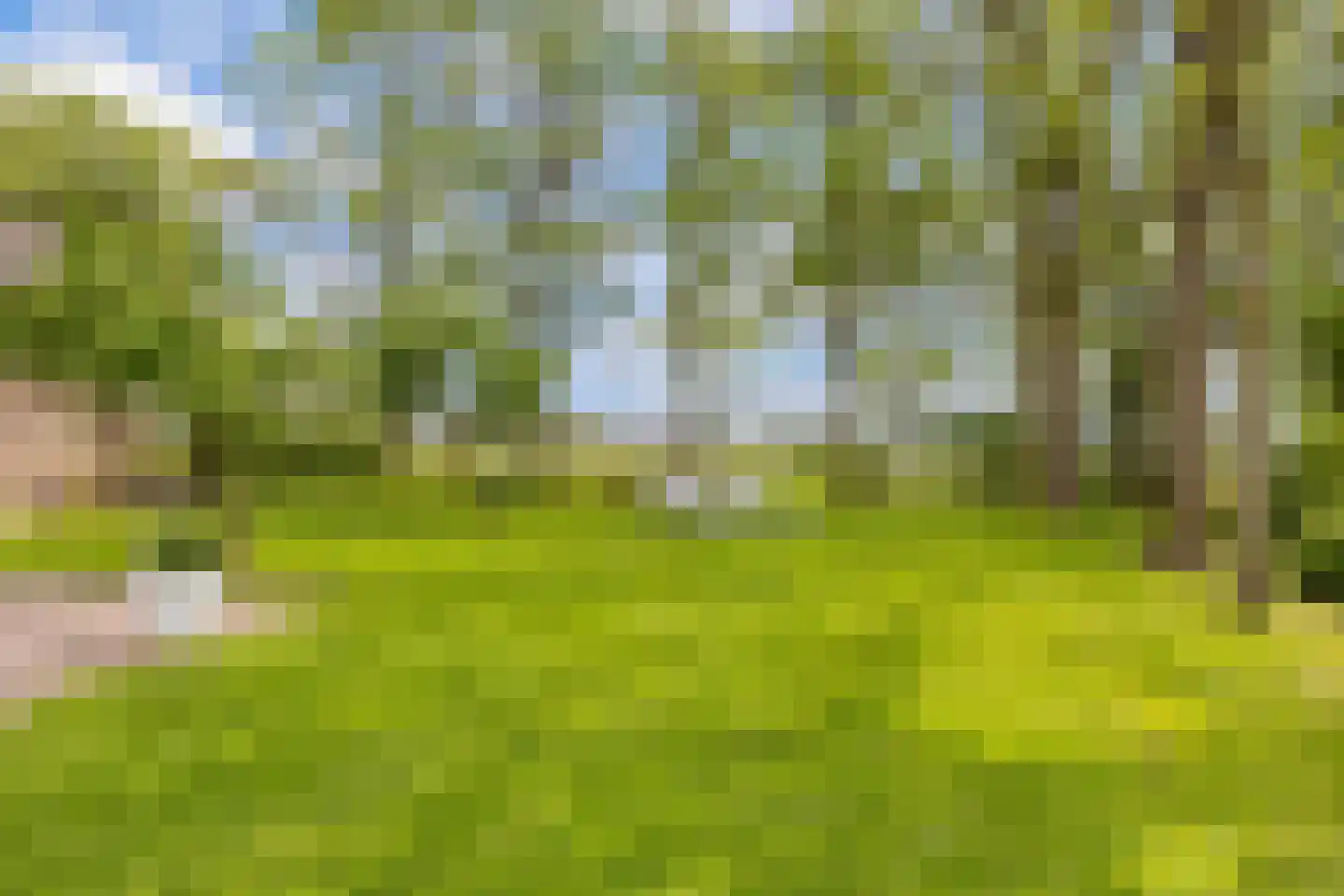 Noordereind 19 Lollum thumbnail 70