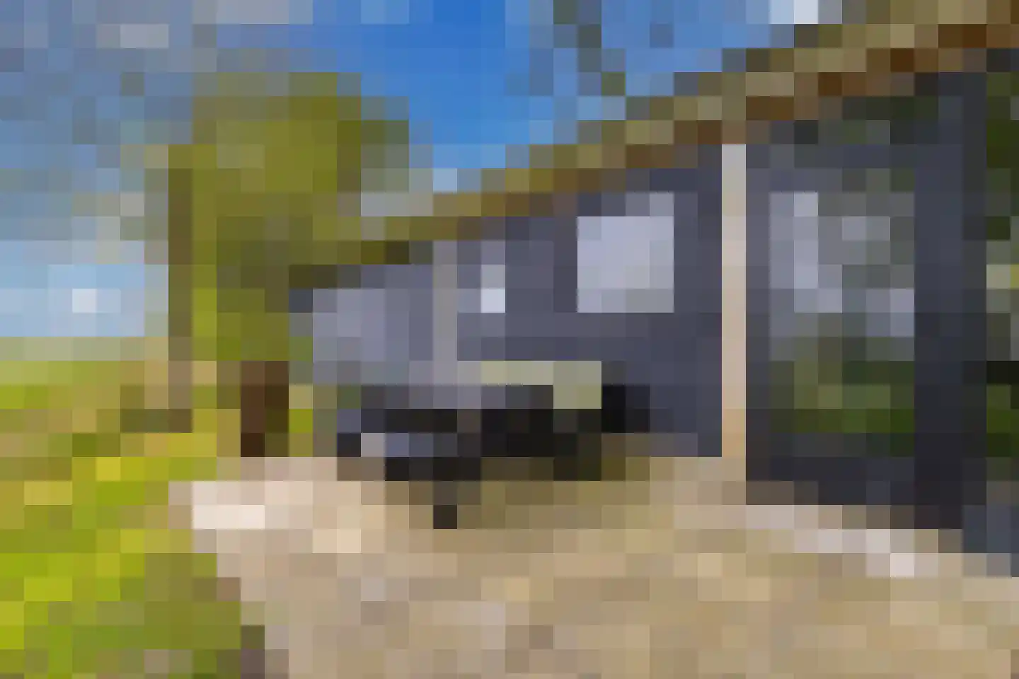 Noordereind 19 Lollum thumbnail 73