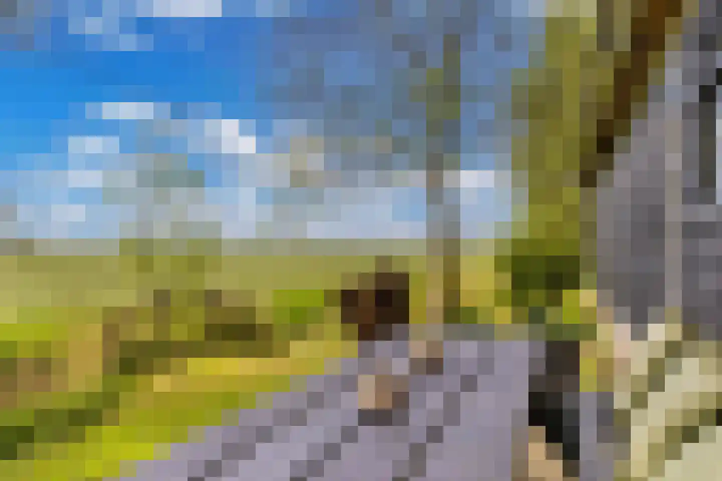 Noordereind 19 Lollum thumbnail 74