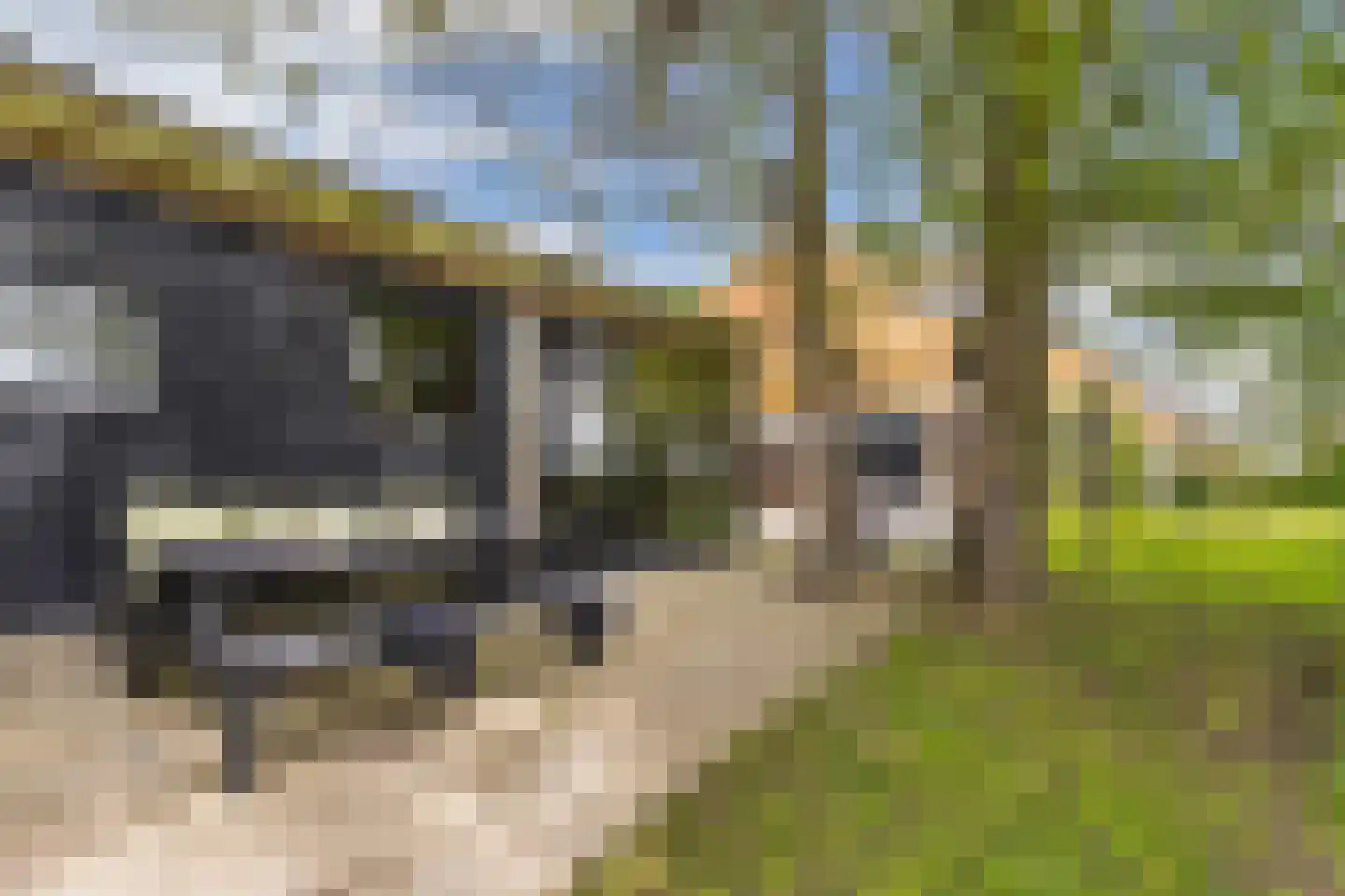 Noordereind 19 Lollum thumbnail 75