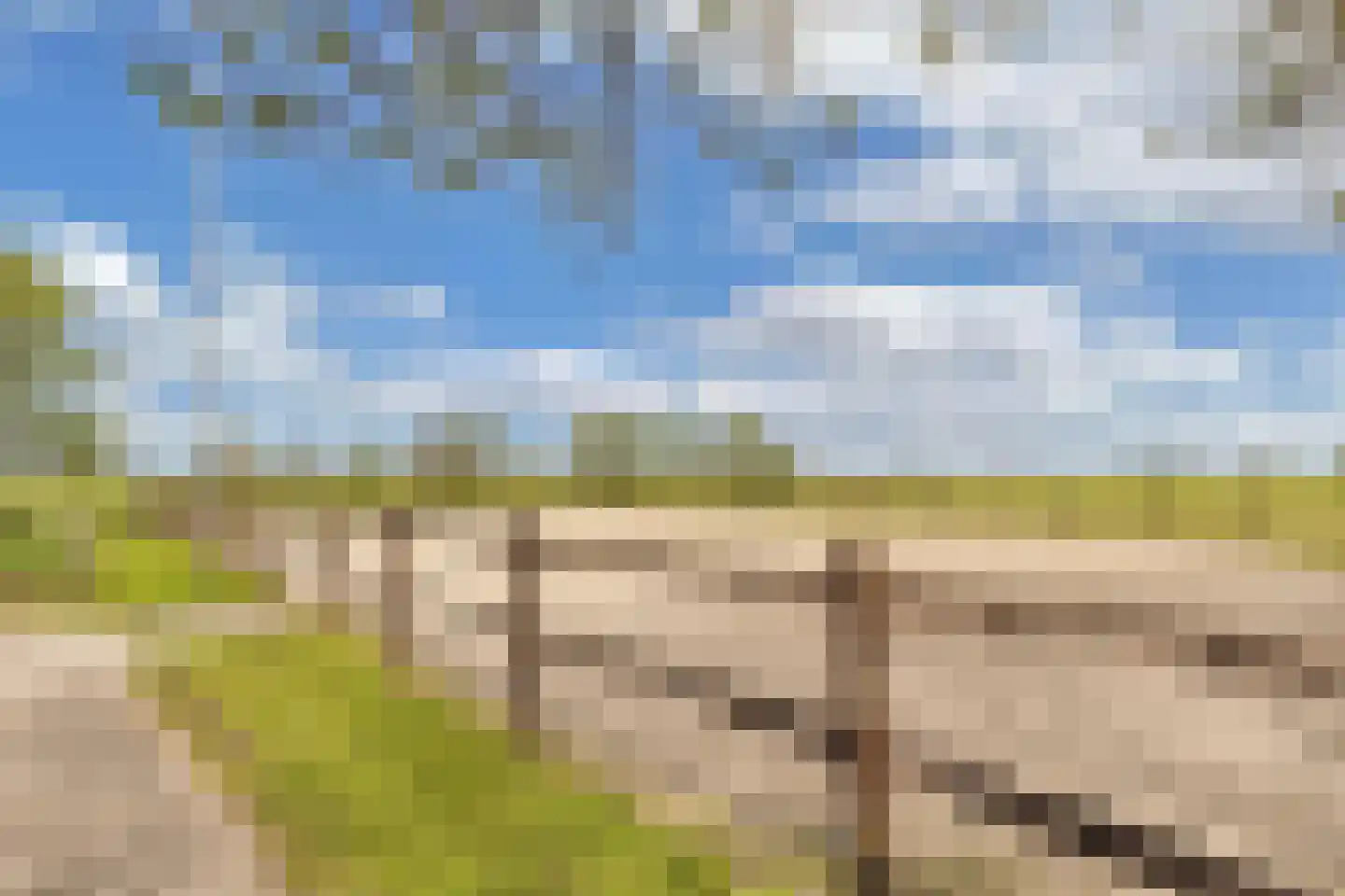 Noordereind 19 Lollum thumbnail 78