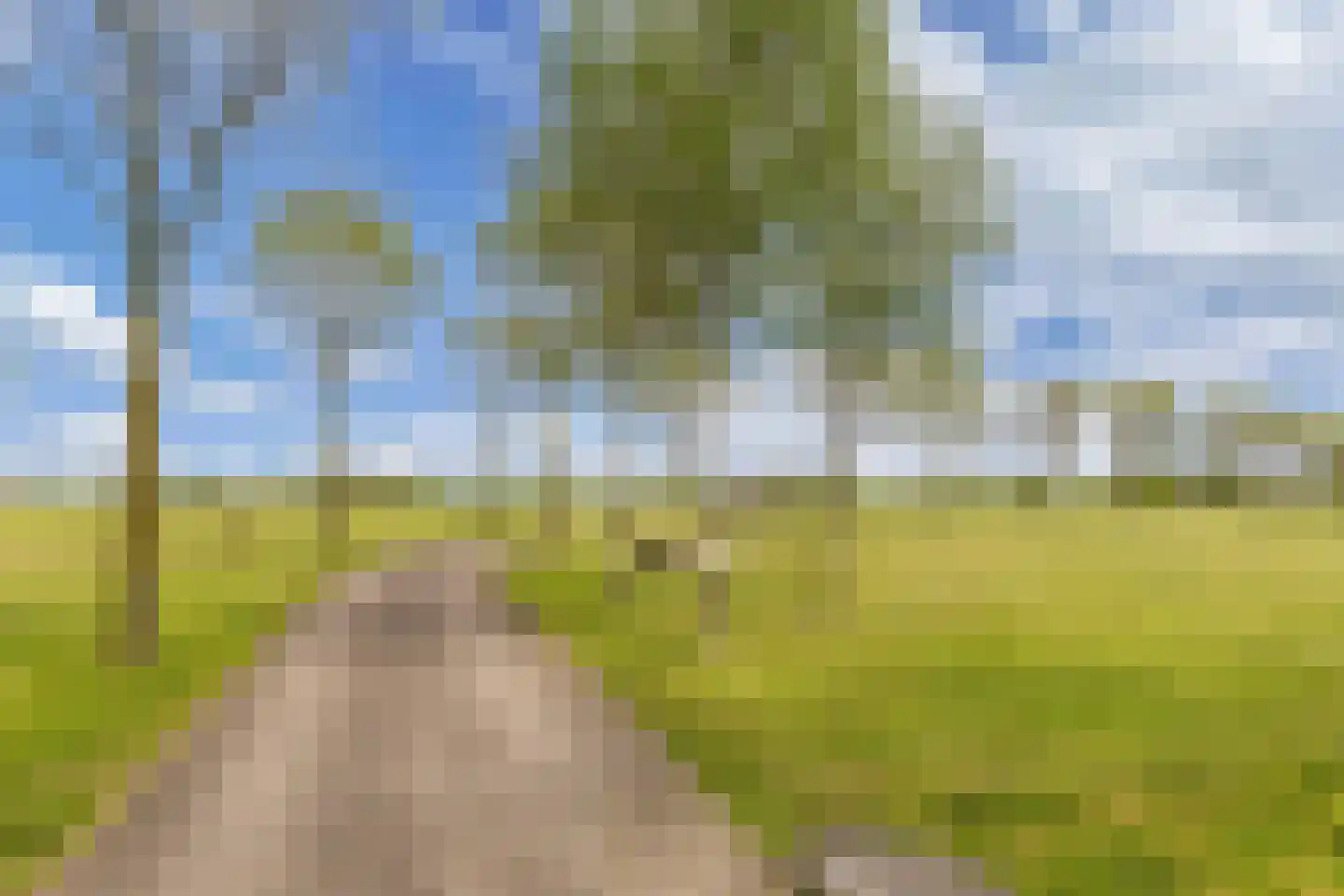 Noordereind 19 Lollum thumbnail 79