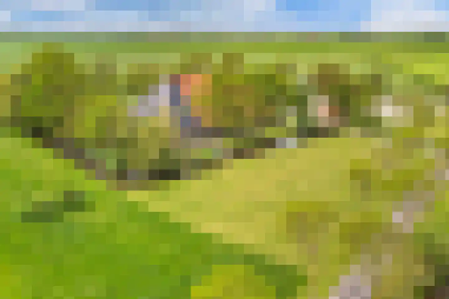 Noordereind 19 Lollum thumbnail 82