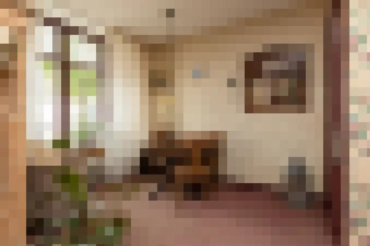 Noordereind 2 Lollum thumbnail 11