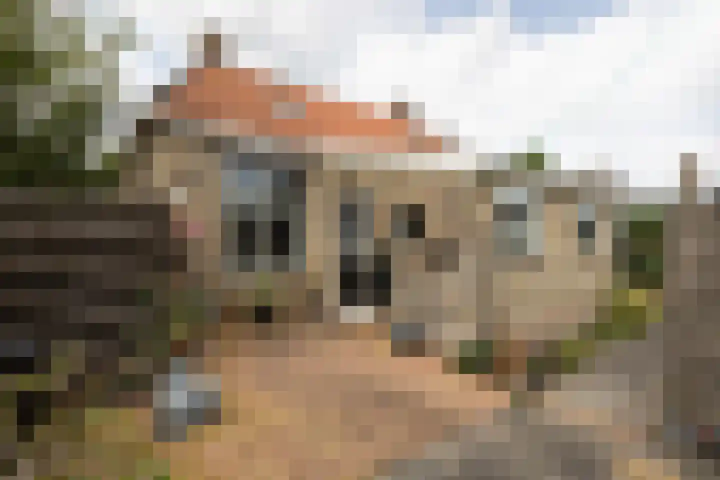 Noordereind 2 Lollum thumbnail 5