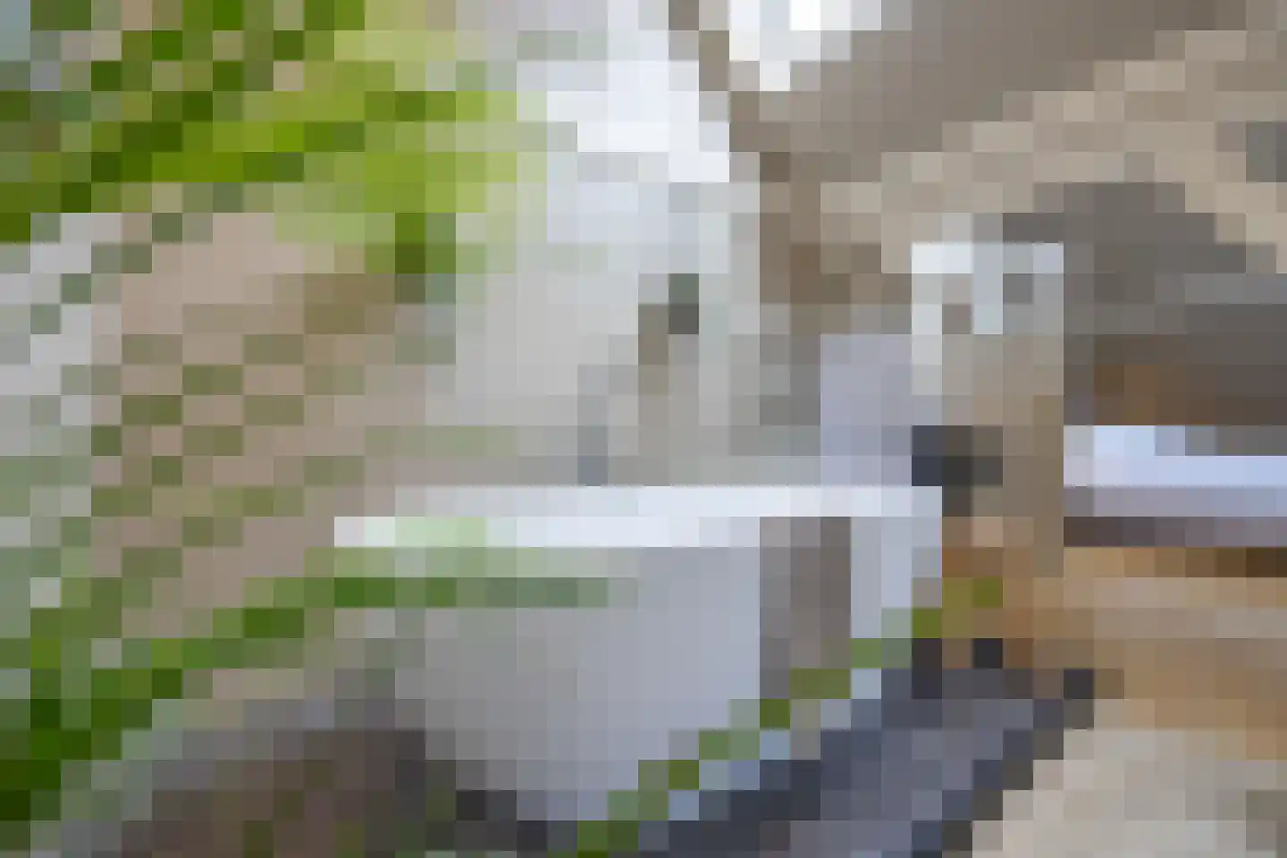 Noordereinde 105 's-Graveland thumbnail 34