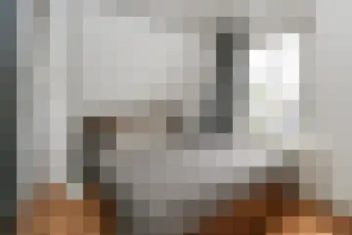 Noordereinde 149 's-Graveland thumbnail 21