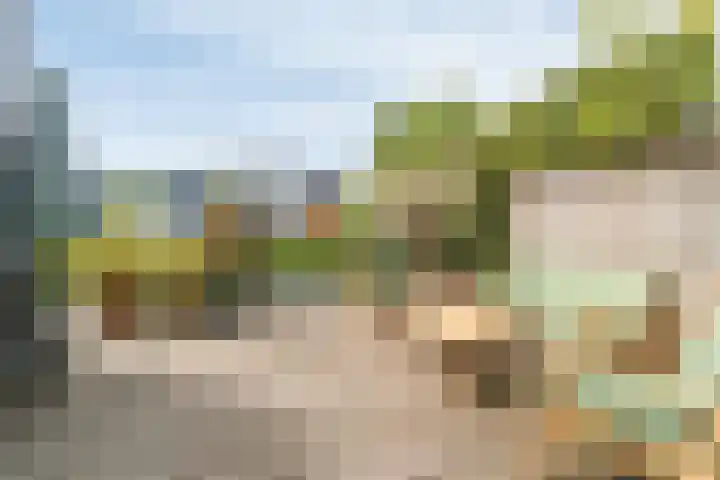 Noordereinde 149 's-Graveland thumbnail 22