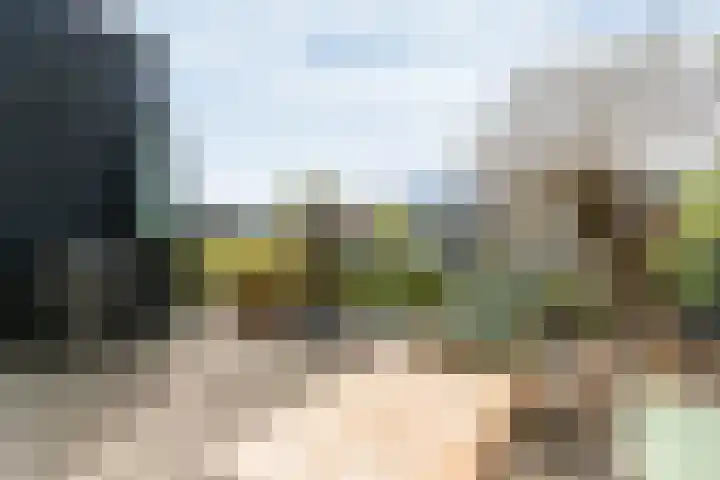 Noordereinde 149 's-Graveland thumbnail 23