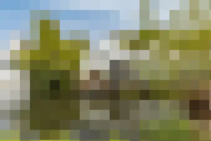 Noordereinde 149 's-Graveland thumbnail 25