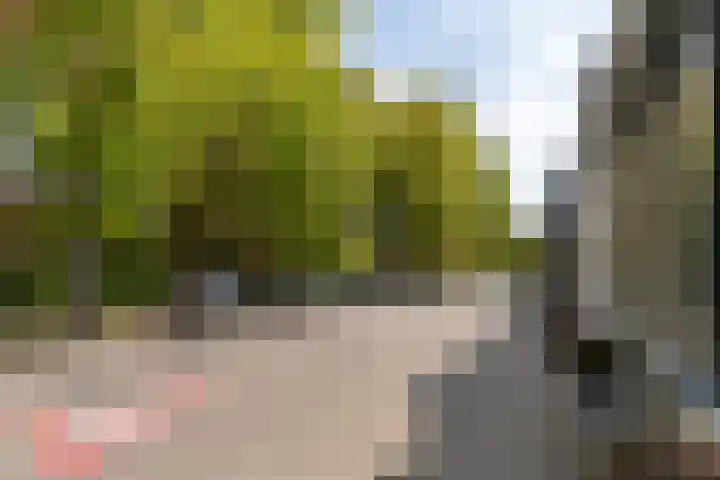 Noordereinde 149 's-Graveland thumbnail 26
