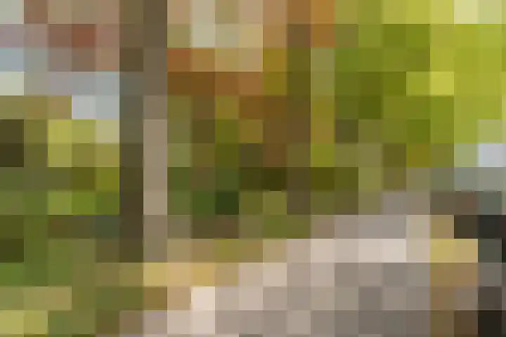 Noordereinde 149 's-Graveland thumbnail 27