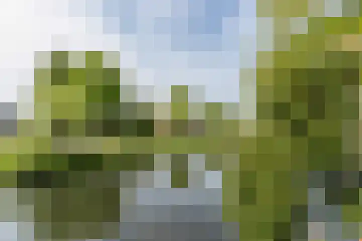 Noordereinde 149 's-Graveland thumbnail 28