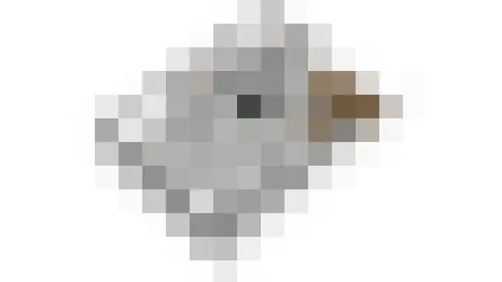 Noordereinde 149 's-Graveland thumbnail 30