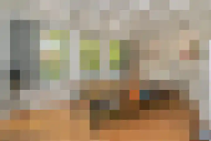 Noordereinde 149 's-Graveland thumbnail 4